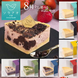 【16時まで本日発送】 チーズケーキ バレンタイン 2026 プレゼント お菓子 選べる ギフト 個包装 送料無料 ケーキ 冷凍 誕生日ケーキ ベイクドチーズケーキ バースデー プチギフト 小分け 配る 退職 お取り寄せスイーツ お試し ホワイトデー お返し