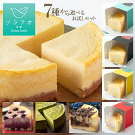 父の日 ギフト 2026 チーズケーキ プレゼント お菓子 選べる 個包装 送料無料 ケーキ 冷凍 誕生日ケーキ …