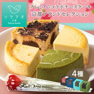 【16時まで本日発送】母の日 ギフト 2026 チーズケーキ プレゼント 個包装 送料無料 詰め合わせ お菓子 …