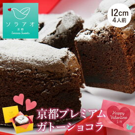 【16時まで本日発送】バレンタイン チョコ 2026 ギフト 濃厚 ガトーショコラ 冷凍 ケーキ 4号 おしゃれ 高級 美味しい お菓子 送料無料 スイーツ チョコレート ザッハトルテ チョコレートケーキ 誕生日 甘くない 取り寄せ 熨斗 クリスマスケーキ お歳暮 プレゼント