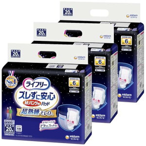 Ct[ YɈS pcpAƂpbh p 60(20×3) 6z(pc^Cvp) yP[Xiz 