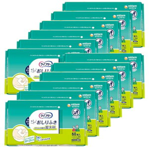 Ct[ lpӂ 唻XbL 720(60×12) 20cm ×25cm [P[Xi] 