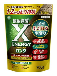 KINCHO���| BS���͍� X-ENERGY�����O ���^�C�v 700g 1�`2�������� ���X�g���X�΍� ��������