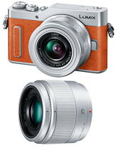楽天市場】LUMIX gf1 レンズの通販