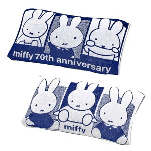 nishikawayz ~btB[ ̂т̂у^Is[P[X 34X64cm 􂦂 Lk@ۂȂ̂őʂȃTCY ̖ɂ̂ 