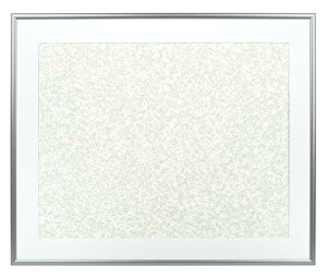 PR[(Kenko) z NEWp`bg S Vo[ NAPT-Z-SV tgI[v UVJbgdl A~t[  