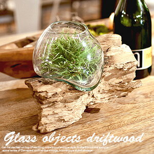 KXIuWF  TTZ-311CeA u KXt[x[X tFCNO[ɂ҂  CeA OXIuWF