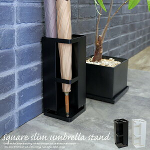 P XNGA X XNGA 2F H30cm  k  zCg bN X  փCeA ȃXy[X V  l炵 COLLENDiRhj