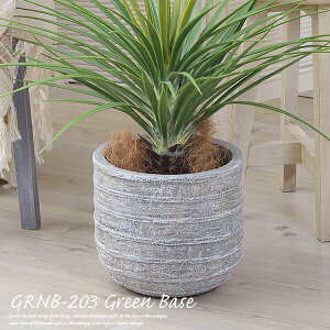 v^[ Aؔ GRNB-203 i6pj O[x[X _}OlVE ꕨ ϗtA  CeA CeAG  