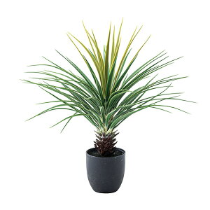 ~jpCibv tFCNO[ GRN-12 67cm tFCNO[ ϗtA lHϗtA ~jpCibv t  CeA  O[ [t  K[f  