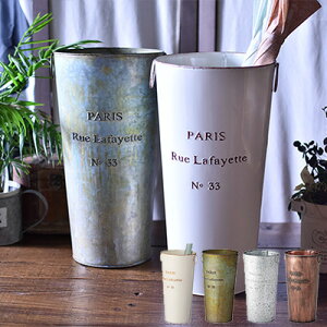 P t@CGbg LFS-427 AC{[EO[EVo[EuY AeB[N P P  P AuX^h  k  [