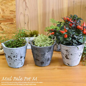 陶製 プランター ミュル・ペールポット・M(ひも付) 高さ13cm グレー ホワイト ブルー セメント 鉢植え 植木鉢 おしゃれ アンティーク 小物 多肉植物 ヴィンテージ 穴あり