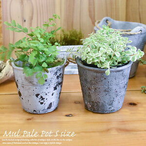 陶製 プランター ミュル・ペールポット・S(ひも付) 高さ11cm グレー ホワイト ブルー セメント 鉢植え 植木鉢 おしゃれ アンティーク 小物 多肉植物 ヴィンテージ 穴あり