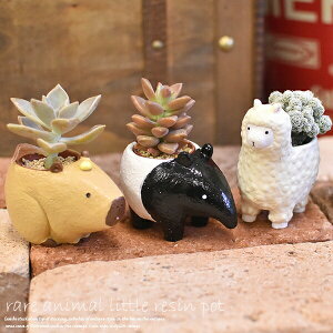 1p v^[ gW|bg bV[Y JspE}[oOEApJ A Aؔ  AeB[N  A  vU[uht[ AWg