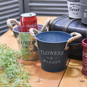 oPc t[vg STCY iVo[ElCr[j 12cm Jo[  K[f oPc [ AeB[N G AeB[N