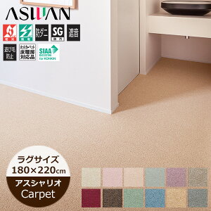 _CjOO J[ybg 180cm×220cm  n i4l|_CjOe[uTCYj n [v R h q iC rO AXVI J[ybg {