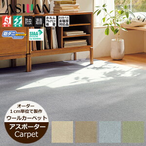 E[J[ybg j[AX|[^[ iRj291`310cmi^ej191`210cm [vpC q t@~[ rO h AX I[_[J[ybg@{