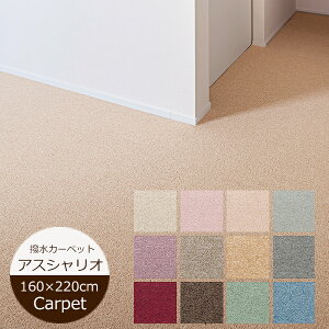 O}bg 160cm×220cm AXVIII J[ybg h_j R [vpC q t@~[ rO h AX I[_[J[ybg ͂ ͂H