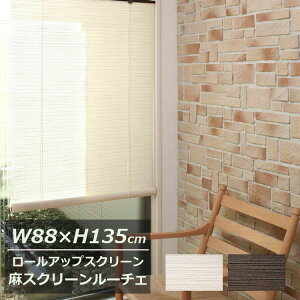 y݌ɌzXN[ 88cm×135cm LUCEi[`Fj zCgEuE Ռ ډB ΎY AWA  [XN[ a a Wpj[Y  [AbvXN[