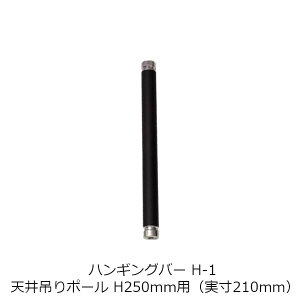 nMOo[ H-1 V݂|[ H250mmpi210mmji g[\[