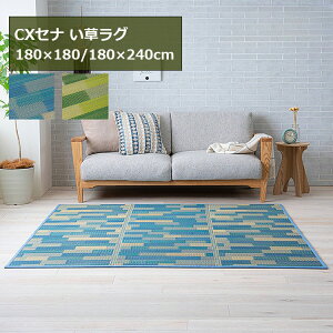 O CXZi 180×180cmE180×240cm i܂݁j O܂  Rf J[ybg O CeA ėp ߓd n  ubN u[  J[ybg