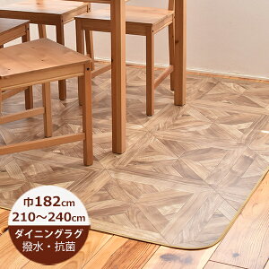 �i�󒍐��Y�j�_�C�j���O���O ���� �p�[�P�b�g 182cm×210�`240cm E1052 ���{�� �_�C�j���O���O ���� �_�C�j���O���O �@���� ������� �k�� �R�� �h�J�r ���{��