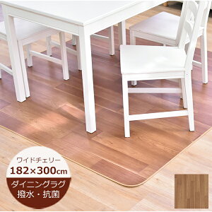 _CjOO  Ch`F[ 182cm×300cm ؖڒD { NbVtA ͂ O _CjO}bg k  @  R hJr J[ybg