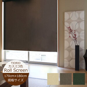 [XN[ y170cm×180cmz 3F mE KiTCY TIORIO ieBIIj @H { i` a [XN[  [J[e vR[h@J[e[