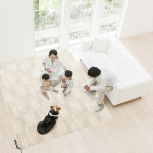 �z�b�g�J�[�y�b�g�J�o�[�Ƃ��Ă��g���� �h���E���~���J�[�y�b�g AHW-1003HH 200cm×250cm(3���p) �ؖ� �z���C�g