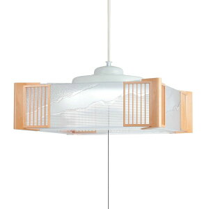 �y�N�[�|����10��OFF�I�I�z�y���������zNEC �z�^���N�X�iHotaluX�j LED�a���y���_���g���C�g �����^�C�v~8�� HCDB0862