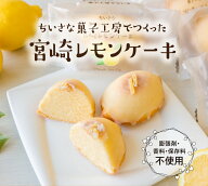 レモンケーキ ケーキ レモン 手作り 高千穂 お土産 お菓子 スイーツ お取り寄せ そらいろ おひさま 日向…