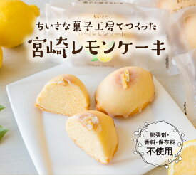 レモンケーキ ケーキ レモン 手作り 高千穂 お土産 お菓子 スイーツ お取り寄せ そらいろ おひさま 日向坂 個包装 ギフト 母の日