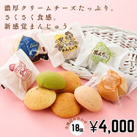 そらいろセット 18個入 おひさまチーズまんじゅう チーズまんじゅう チーズ饅頭 まんじゅう 饅頭 おまんじゅう スイーツ 手作り 宮崎 高千穂 お菓子お取り寄せ ご当地スイーツ プレゼント 贈り物 銘菓 お土産 個包装 おひさま そらいろ 日向坂 お歳暮