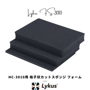 Lykus HC-3010 p iqJbgX|W CitH[ \ | J Y CJ j^[ h[ obe[ Wo X}z  @  H | ĐlC YouTube SNS e
