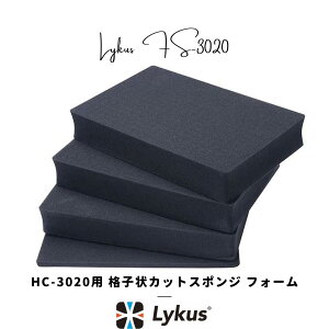 Lykus HC-3020 p iqJbgX|W CitH[ \ | J Y CJ j^[ h[ obe[ Wo X}z  @  H | ĐlC YouTube SNS e