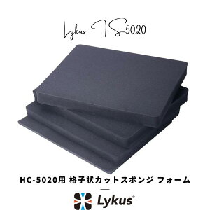 Lykus HC-5020 p iqJbgX|W CitH[ \ | J Y CJ j^[ h[ obe[ Wo X}z  @  H ĐlC YouTube SNS e 