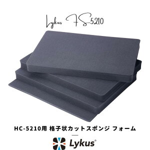 Lykus HC-5210 p iqJbgX|W CitH[ \ | J Y CJ j^[ h[ obe[ Wo X}z  @  H | ĐlC YouTube SNS e