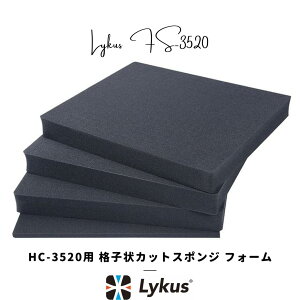 Lykus HC-3520 p iqJbgX|W CitH[ \ | J Y CJ j^[ h[ obe[ Wo X}z  @  H | ĐlC YouTube SNS e