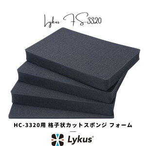 Lykus HC-3320 p iqJbgX|W CitH[ \ | J Y CJ j^[ h[ obe[ Wo X}z  @  H | ĐlC YouTube SNS e