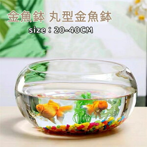  ی^  ^ 琅 KX _J  _J  e[u ANAE {E ϗtA e  CeA | e  (20cm)i25cmji30cmj