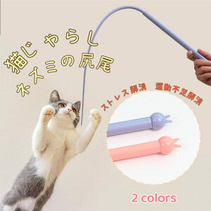 L炵 L lY~Ǩ`L̂炵 2color ^sƃXgX SVR ˂ߋ    L̂D݂炵 lY~̐K Lp ނ L̂