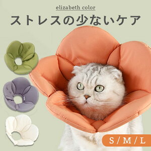 GUxXJ[ L \tg lR t _炩 ȒP Lp  p 킢 X^C TCY t   pPA rߖh~ rߖh~   D z ی 