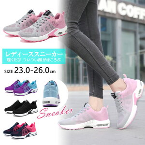  ̓ Xj[J[ fB[X Y jp lC EH[LOV[Y jOV[Y WMOV[Y X|[cV[Y JWA NbVV[Y ^C _