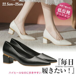  i pvX 4.5cm ɂȂ  EȂ fB[X ubN 傫TCY rWlXV[Y ӂӂNbV r ₷ 芴 JWA ꂢ i t  