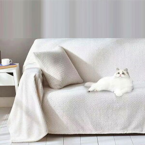 i \t@[Jo[ ꖇz 邾 L΍ \t@ It I JE` \t@[ Jo[ IȂ  􂦂 uPbg 唻 bt }`Jo[ ` xbh t[