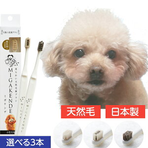  VR uV ~KPf Iׂ3{  p Ԃ炵 ybguV ݂   ^  ybgp f^PA 炩 L ybg L a S y