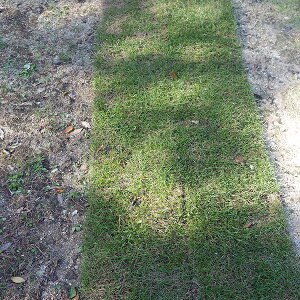 m2024N6{nŃ[ m VR Ő̊i͂I  1Ĕō̎