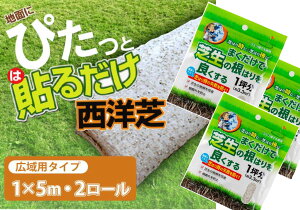 芝生 花の人気商品 通販 価格比較 価格 Com