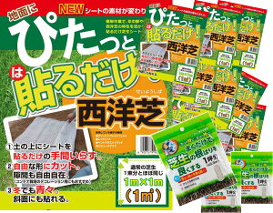 農業資材 ガーデニング用品 芝生 西洋芝 その他の農業資材 ガーデニング用品の人気商品 通販 価格比較 価格 Com