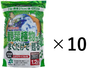 サボテン 培養土 用土の人気商品 通販 価格比較 価格 Com サボテン 培養土 用土の人気商品 通販 価格比較 価格 Com